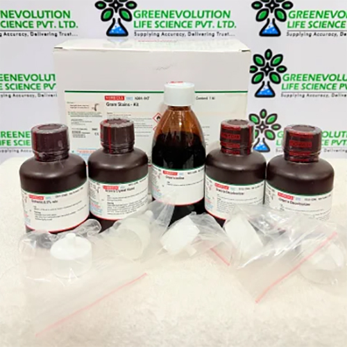 Gram Stain Kit Himedia