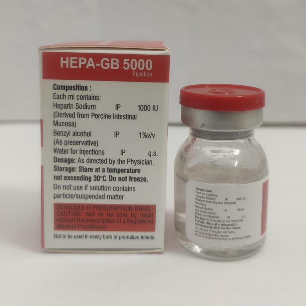 HEPA-GB 5000