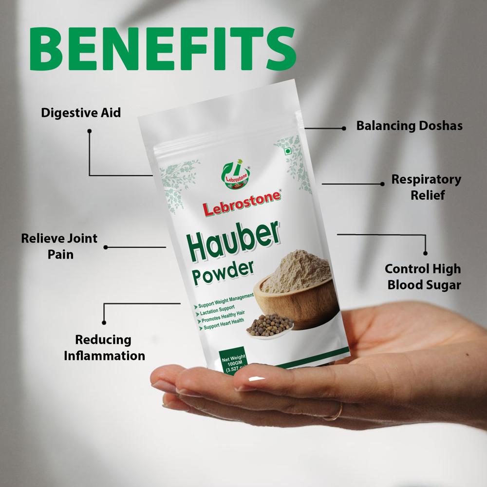 Lebrostone Hauber Powder for Digestion, Joint Pain, Inflammation, Dosha Balance, Respiratory & Blood Sugar Support(100g)