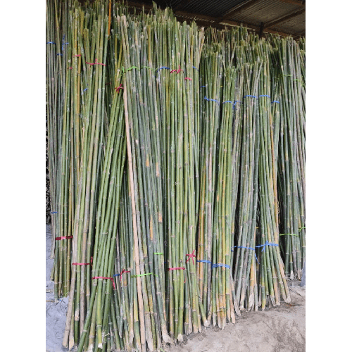 10 Feet Bamboo Murli Pole