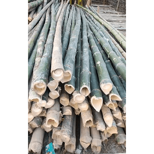 16 Feet Bamboo Pole - Color: Green