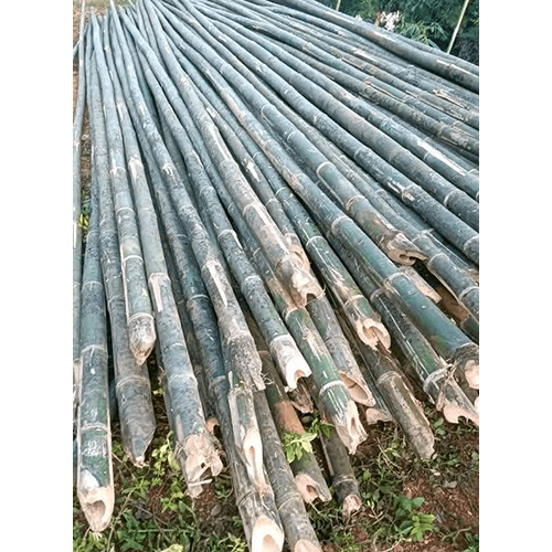 24 Feet Bullet Bamboo