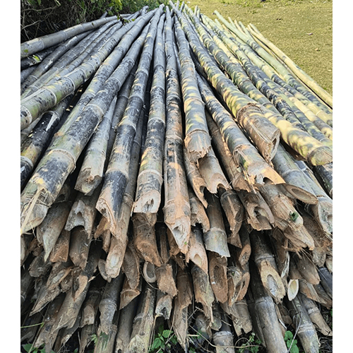 24 Feet Delux Bamboo