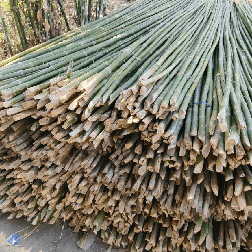 30 Feet Bamboo Murli Pole - Color: Green