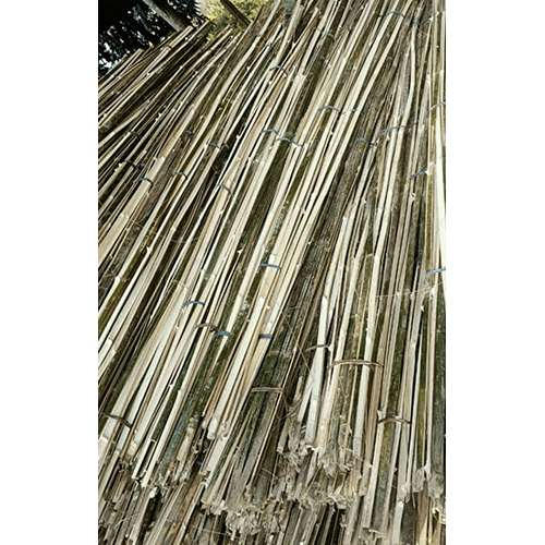 Bamboo Patti - Color: Green