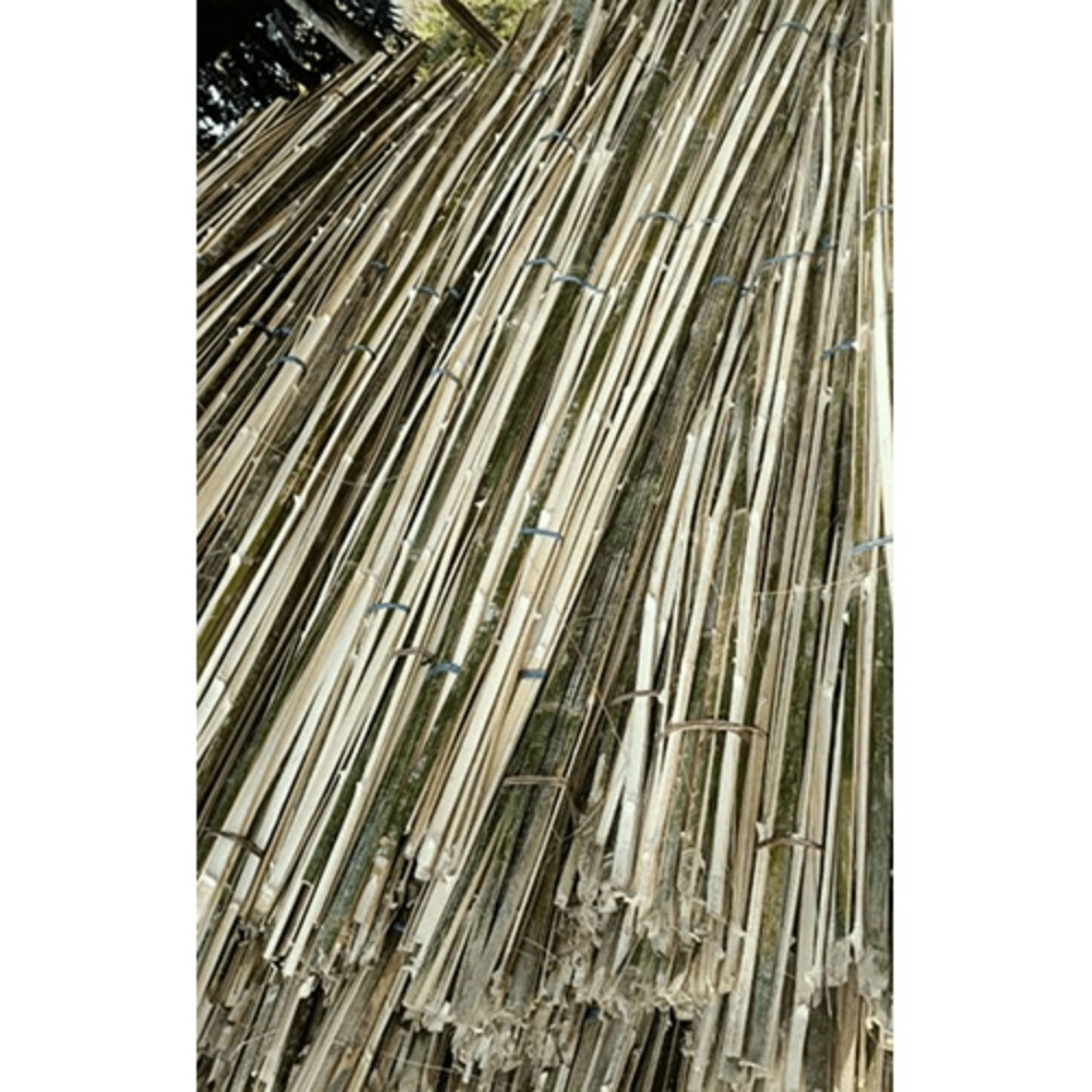 Bamboo Patti