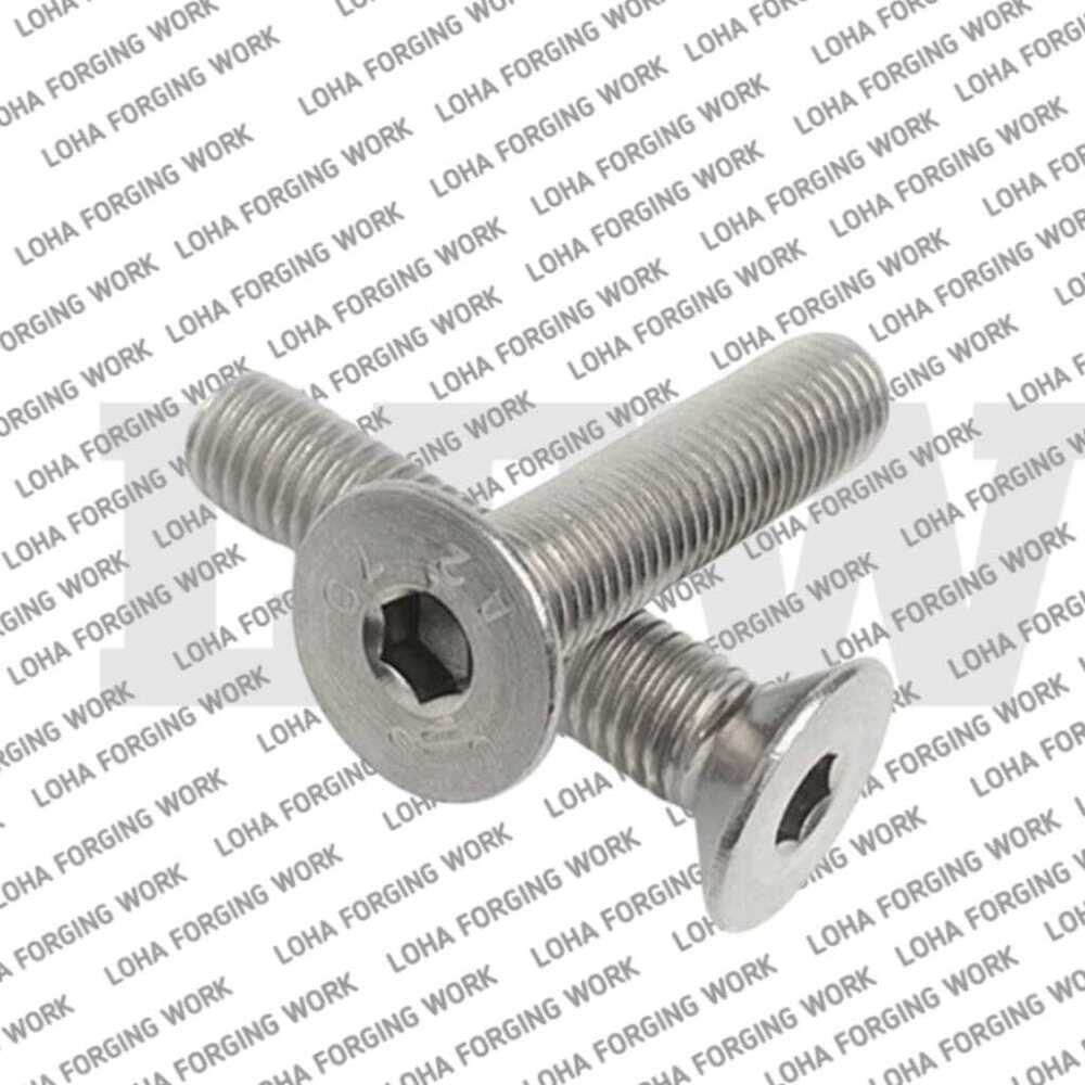 SS Csk Bolt