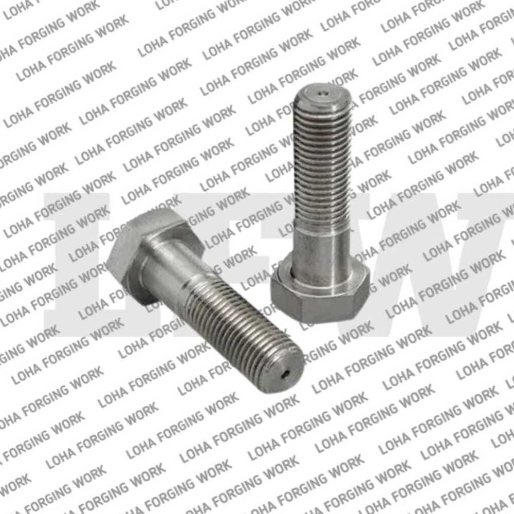 Stainless Steel Bolt