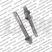 Ss Anchor Bolt
