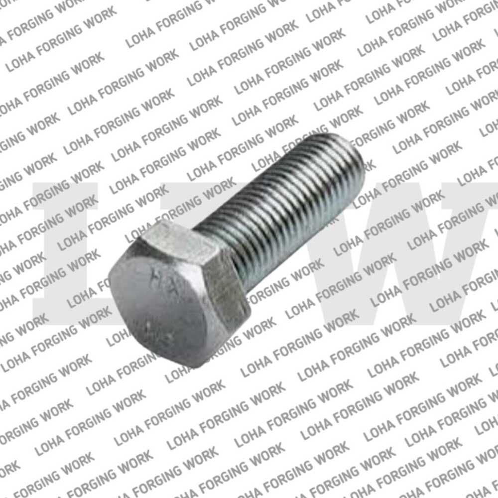 Ss Hex Bolt