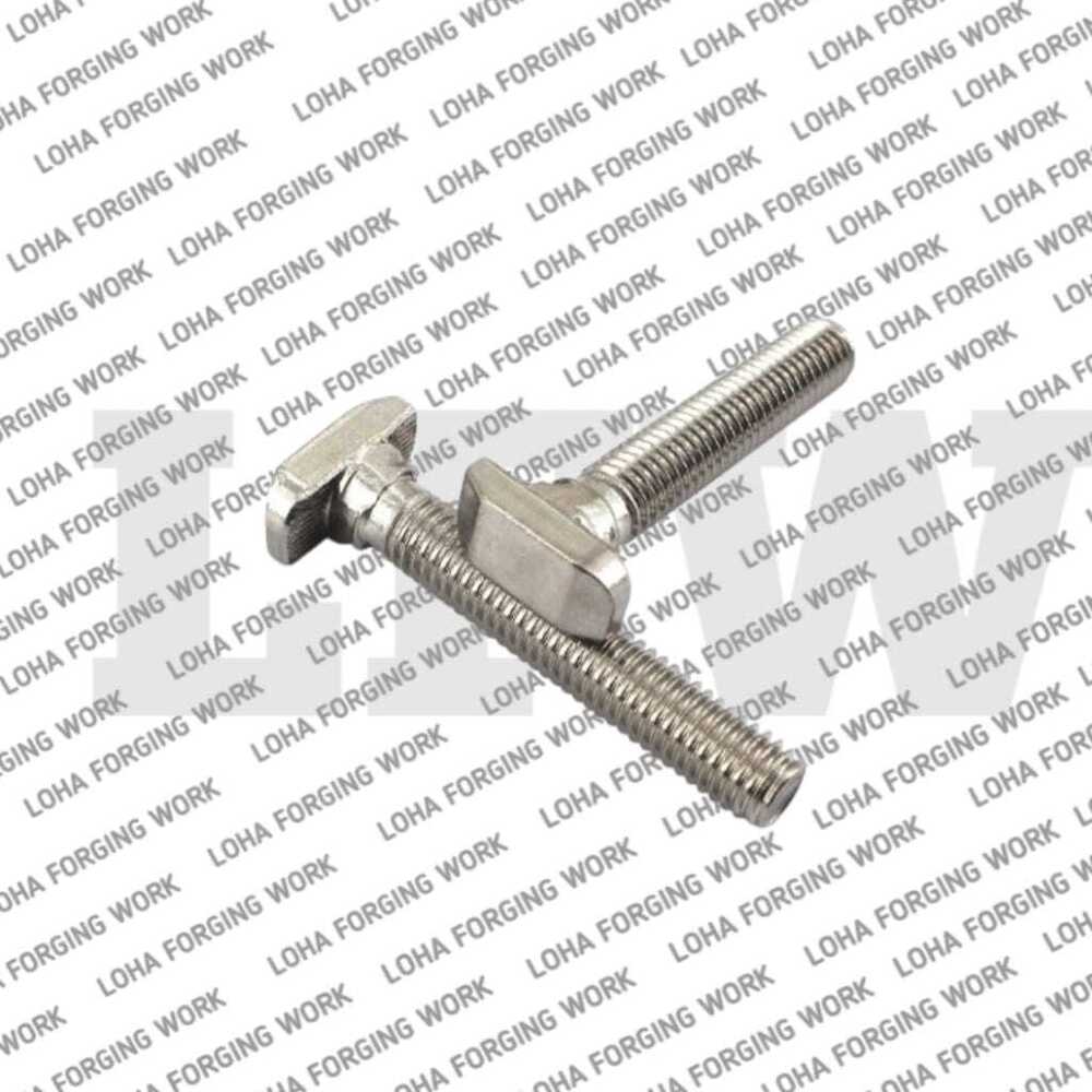 Ss T Bolt