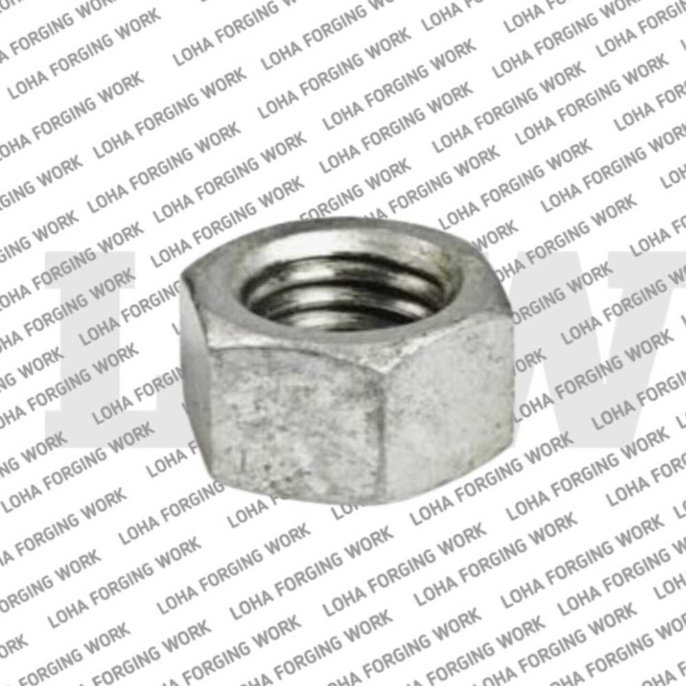 Ss Hex Nut