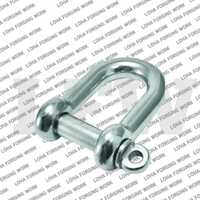 Ss D Shackle