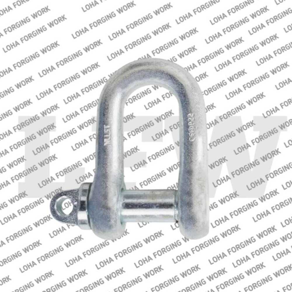 Ss D Shackle