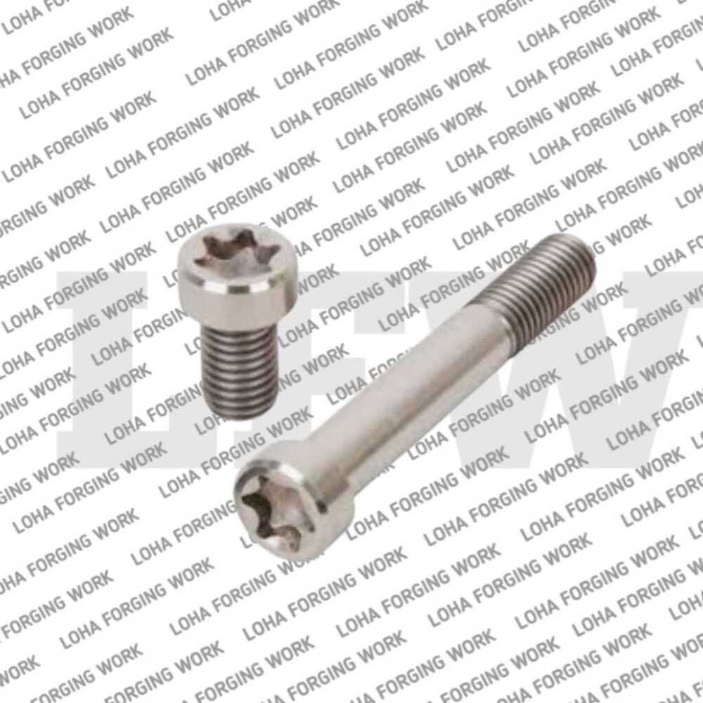 SS Titanium Fasteners
