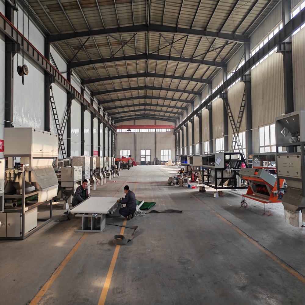 New Design Technology 4 Chute White Black Red Rice High Accuracy Rice Color Sorter for Sale in China