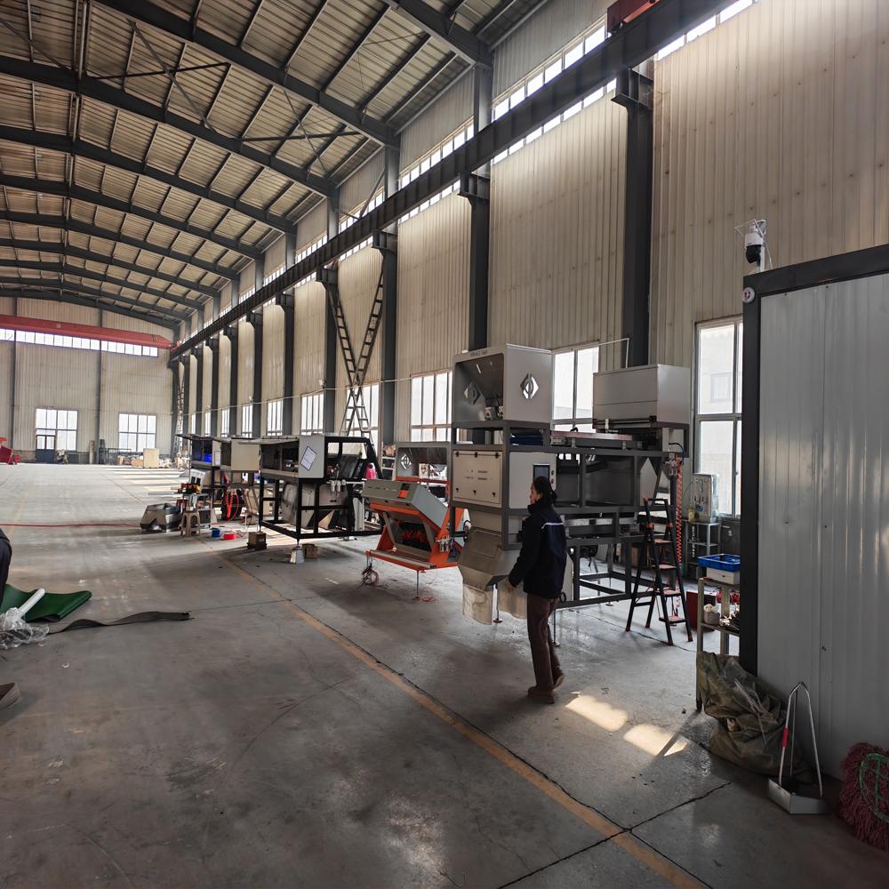 New Design Technology 4 Chute White Black Red Rice High Accuracy Rice Color Sorter for Sale in China