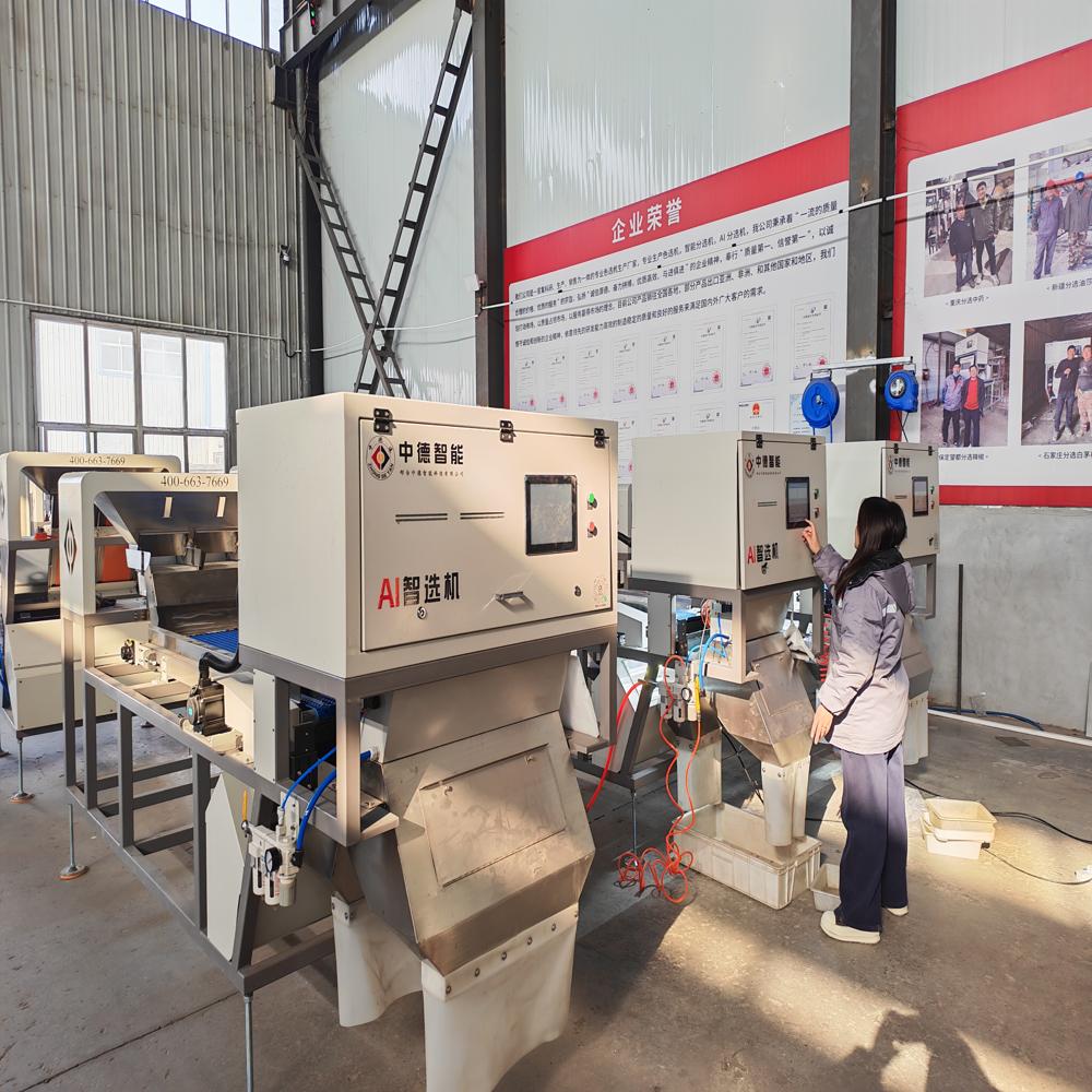 Rice Grain Color Sorter CCD Coffee Beans Plastic Beans Optical Color Sorter