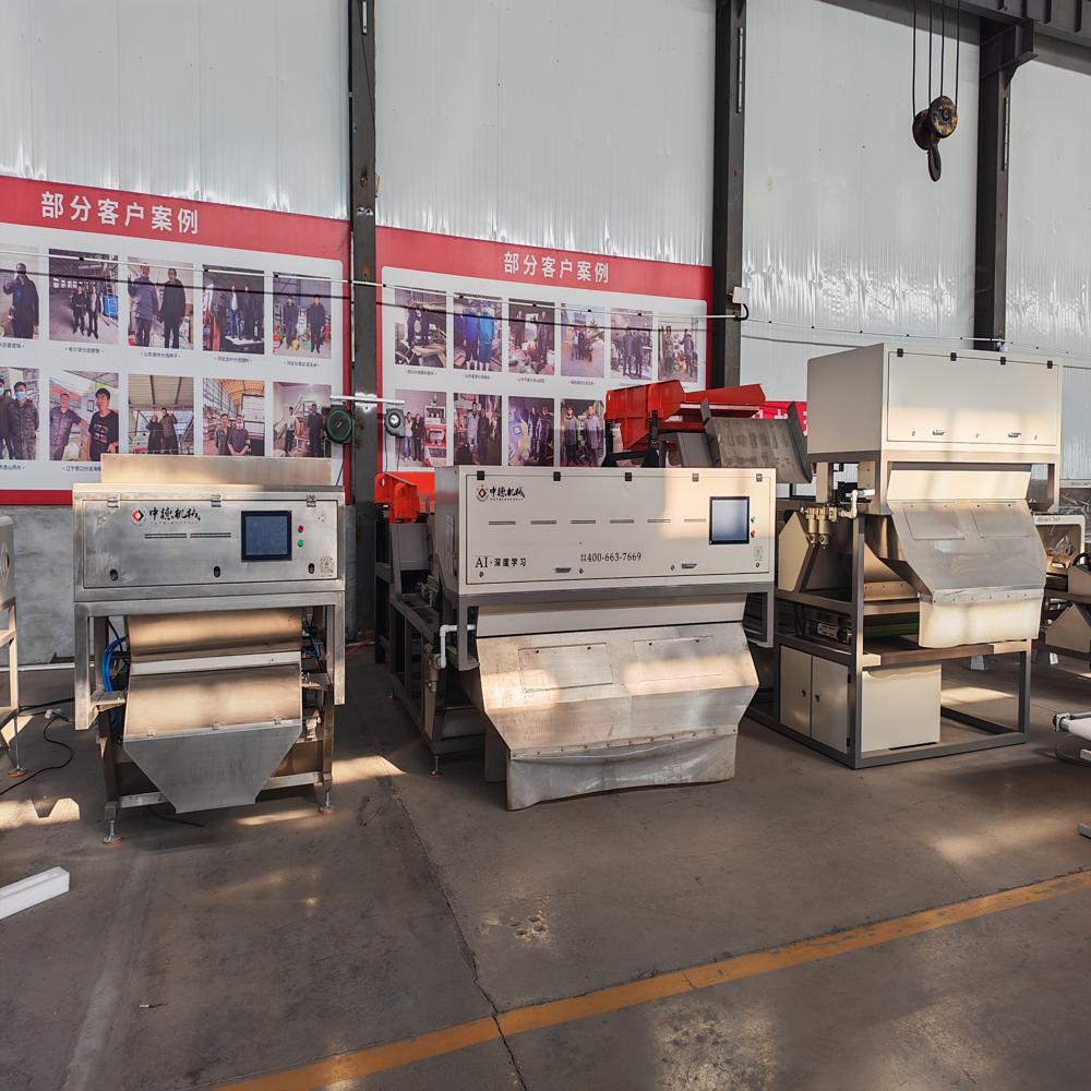 Rice Grain Color Sorter CCD Coffee Beans Plastic Beans Optical Color Sorter