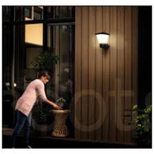 800031 Philips STERLING Wall Light 12W