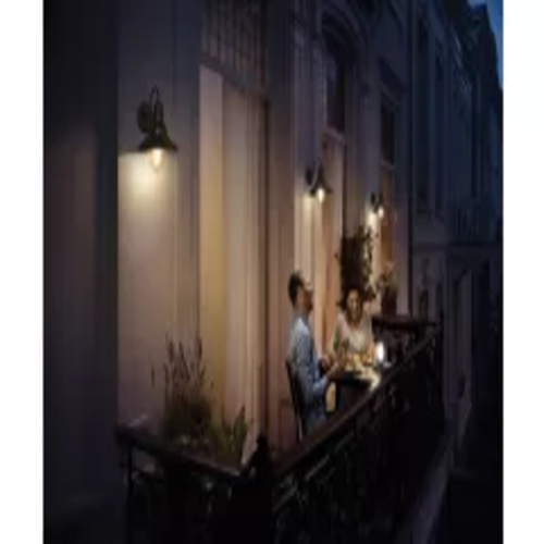 800021 Philips CORMORANT Wall Light IP54