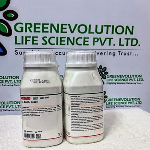 EE Broth Mossel HiMedia