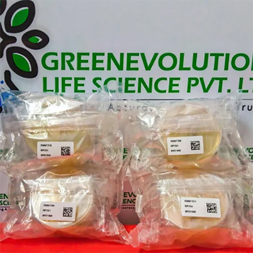 Luria Bertani Agar Plate Himedia