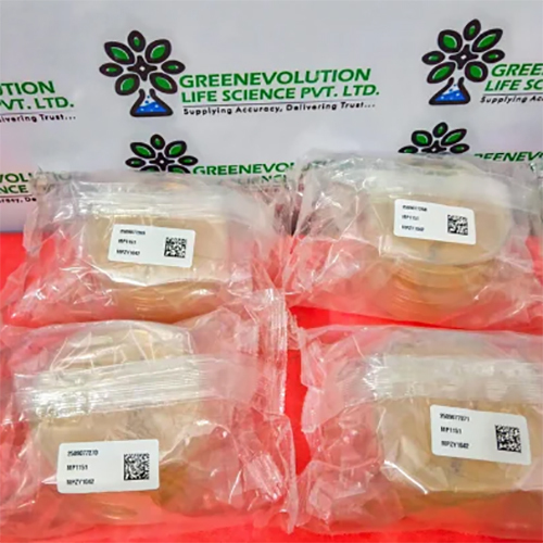 Luria Bertani Agar Plate Himedia