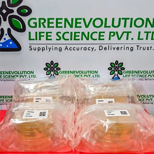 Nutrient Agar Plate Himedia