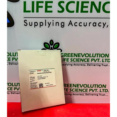 Geobacillus stearothermophilus Strips Himedia