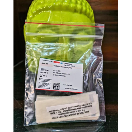 Geobacillus stearothermophilus Strips ATCC 7953 Himedia