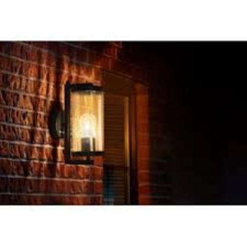 800020 Philips ZENITH SmokyBlackE27 IP65