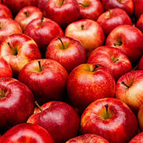 Fresh Red Gala Apple