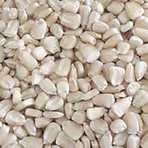 White Maize