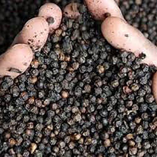 Black Pepper