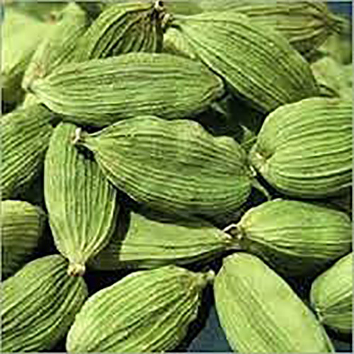 Green Cardamom