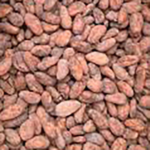 Cocoa Beans
