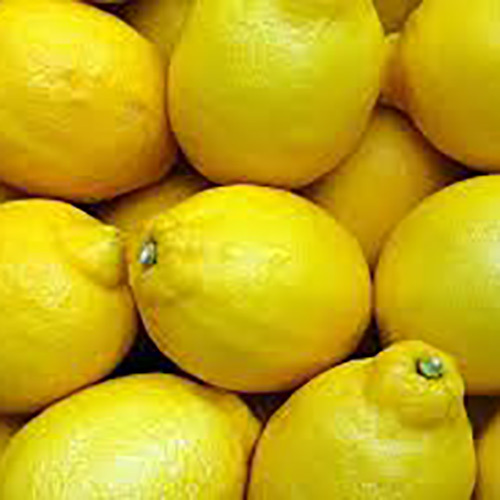 Fresh Lemon