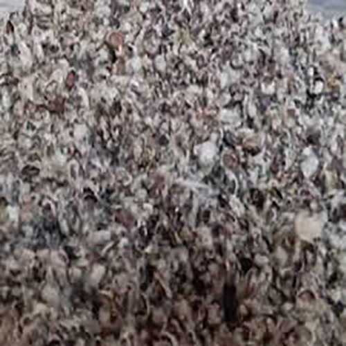 Cotton Seed Hulls