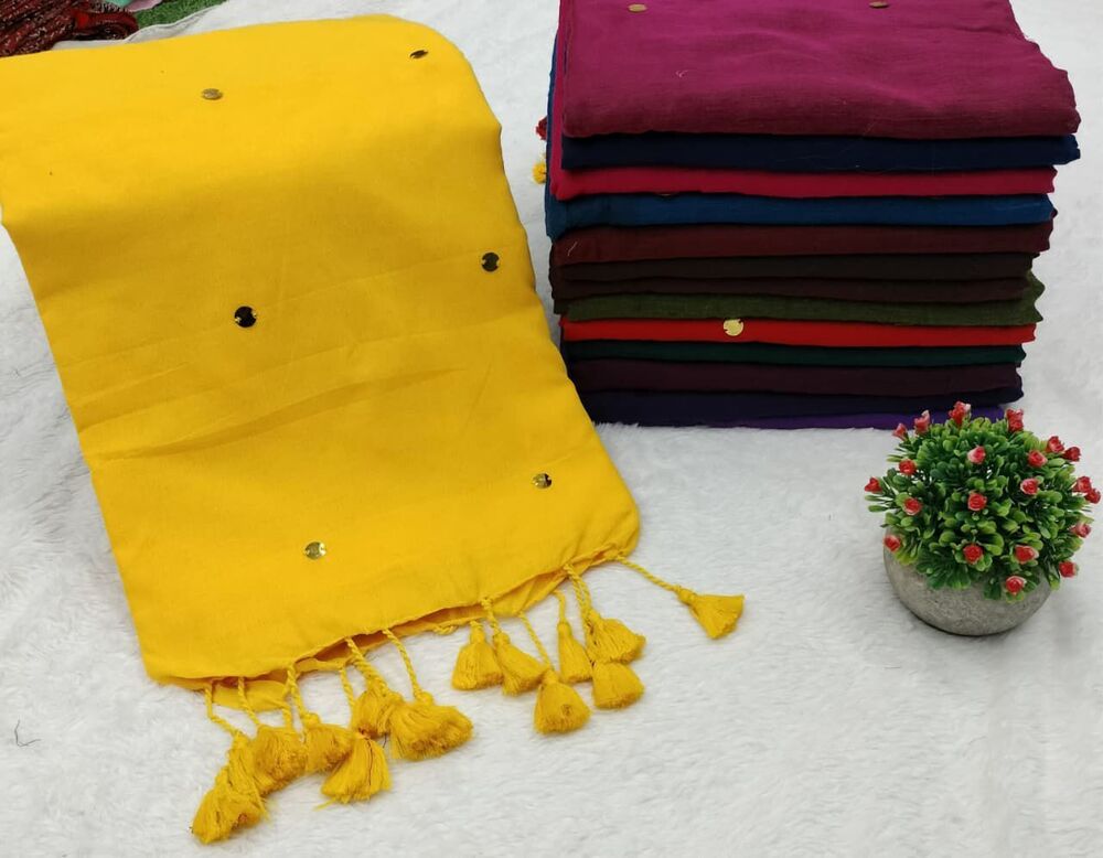 Mirror Work Elegant Saree