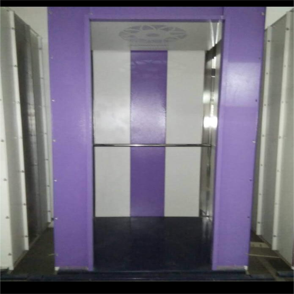 Home Lift - Capacity: Upto 350kg Ton
