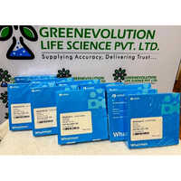 Whatman Filter Papers Grade 40