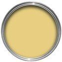 Emulsion Paints