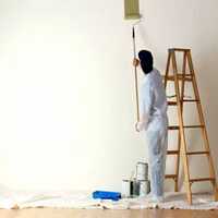 Water Based Cement Primer - Color: White