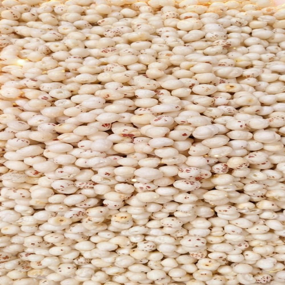 Snakiy 5+ Suta loose Mithila  Makhana