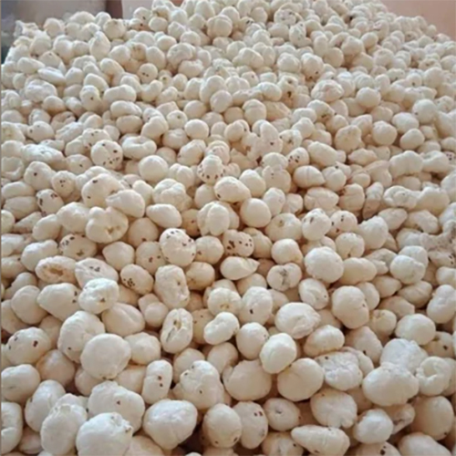 Snakiy 6+ Suta loose Mithila Foxnut