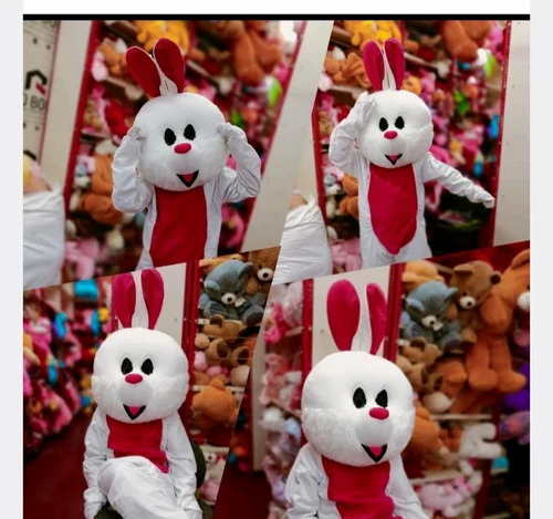 Fancy Dresses and Costumes