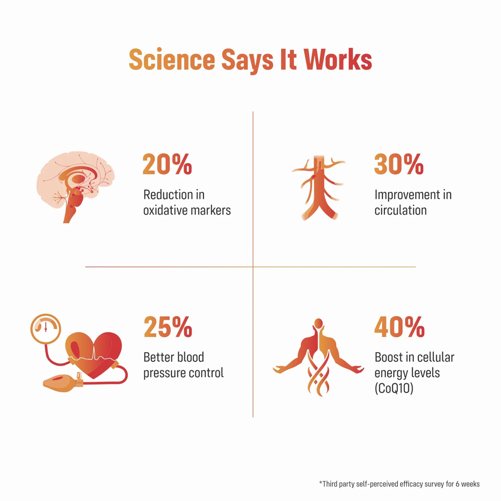 HRT Care Advanced Vascular Support Capsules