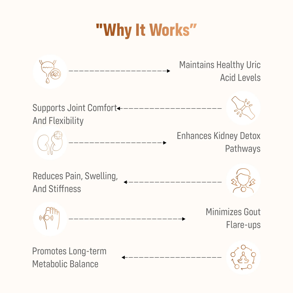 Uric Acid Control Tablets