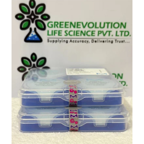 PVDF Membrane Filter 0.22 um Pore Size Millipore